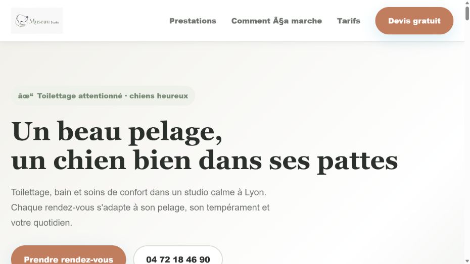 Toiletteur